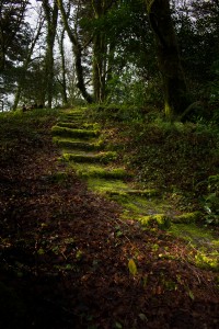 Magical walks and pathways